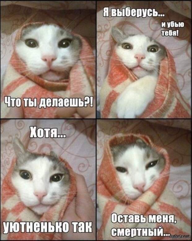 Смешные комиксы и приколы. Подборка картинок
