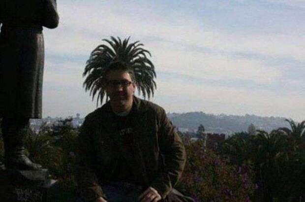 Пятничные фотоприколы