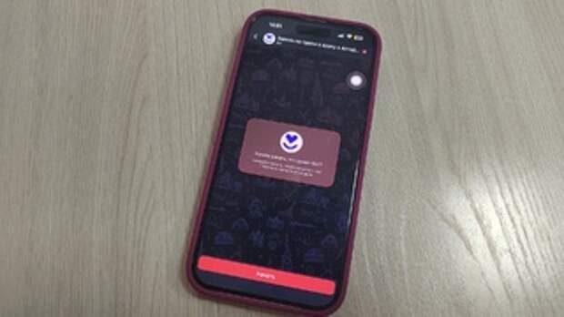 Запись к врачу в Max / Фото: amic.ru