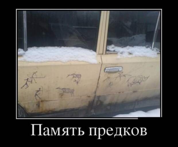 Демотиваторы (13.01.16)