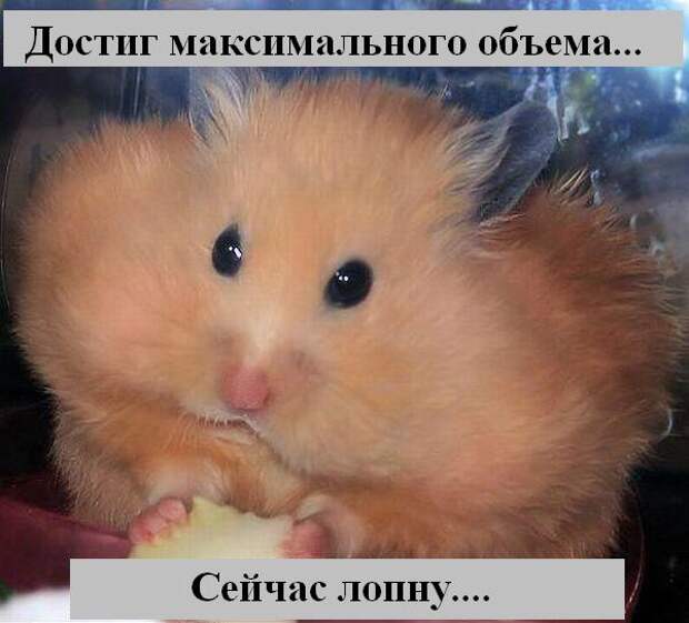 Мысли :) (50мыслей)