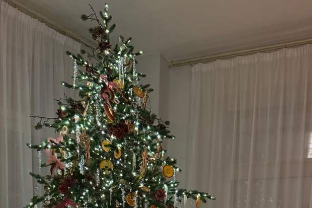 Бизнесвумен Ида Галич опубликовала фото новогоднего интерьера квартиры