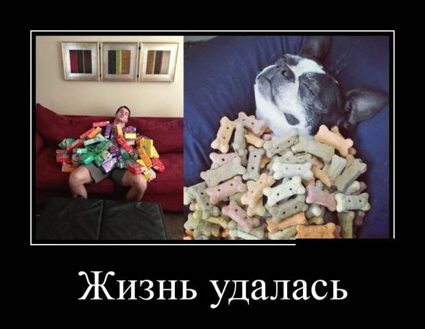 Демотиваторы демотиваторы, прикол, смех, юмор