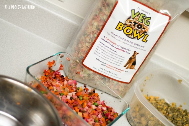 There are several reasons for wanting to switch your dog to a homemade diet. Do you think your dog would benefit from a homemade diet? Click through to read the rest.