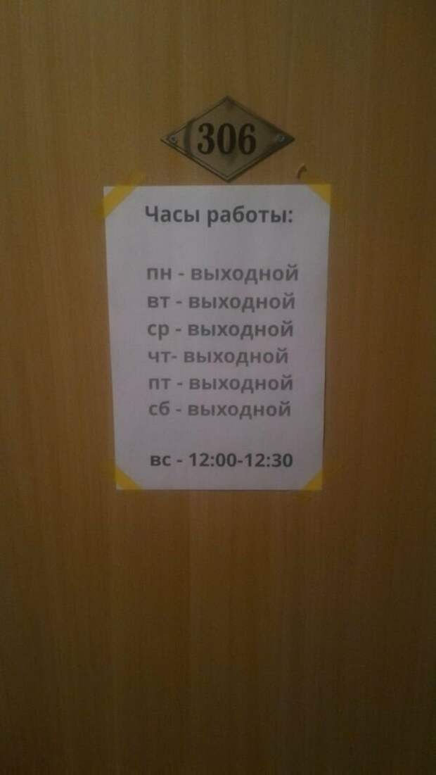 А эта?! идеальная работа, подборка, прикол, работа, работа мечты, трудоустройство
