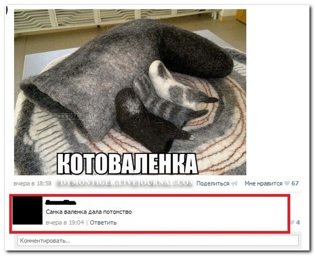 Смешные комментарии из социальных сетей 24.05.14 комментарии, прикол, соцсети