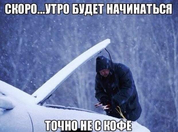 Картинки со смешными подписями Картинки со смешными подписями картинки, прикол, юмор