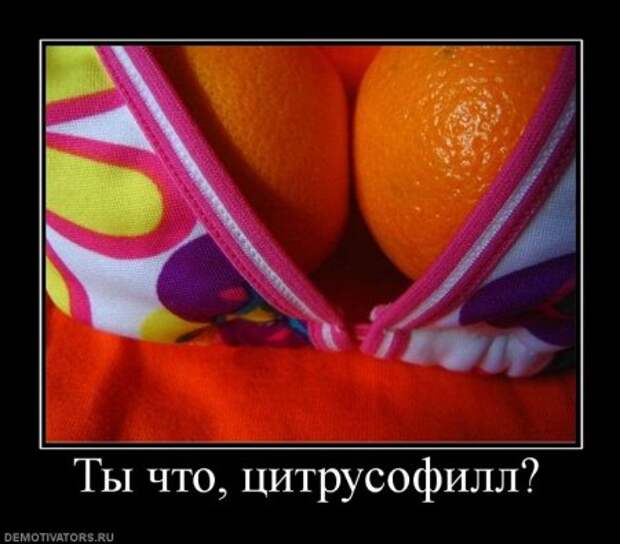 Демотиваторы смешные прямо тут и сейчас!