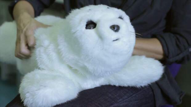 Paro Baby Seal. животные, питомцы, роботы