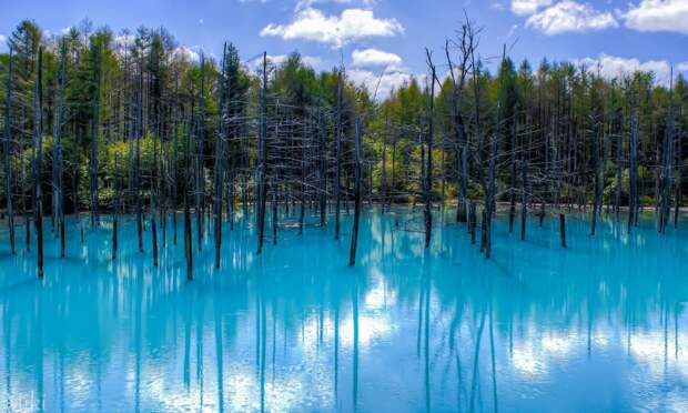 Голубой пруд, Хоккайдо, Япония земля, кадр, красота, природа, фото