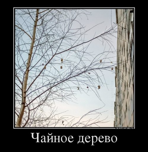 Новые демотиваторы на Бугаге (14 шт)