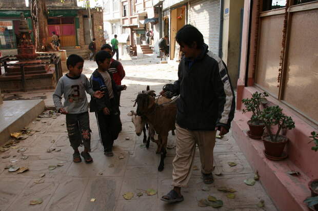 Nepal_0053