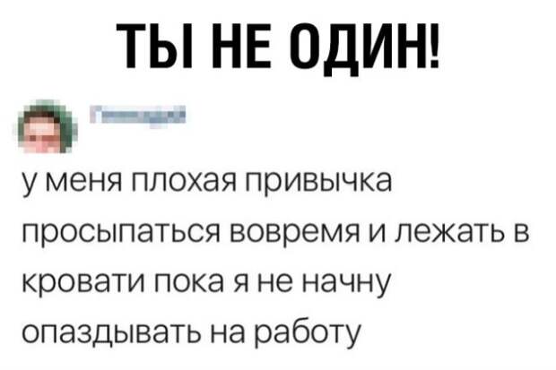 Подборка картинок. Дневной выпуск (20 фото)