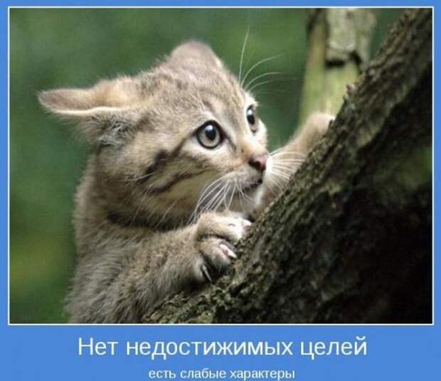 Мотиваторы, для тех кому нужна порция тепла и поддержки