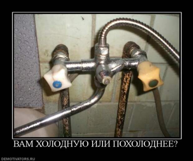 Демотиваторы картинки смешно и новые.