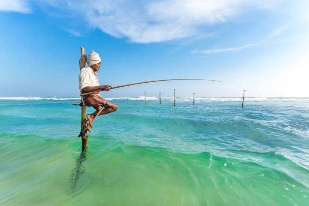 Рыбалка на сваях: необычный аттракцион на острове Шри-Ланка рыбаки, рыбалка, шри-ланка