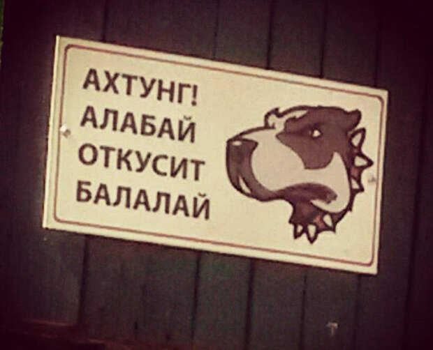 Звучит убедительно: 20 остроумных табличек собака, табличка, юмор