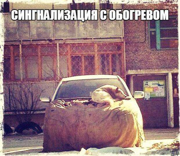 Автоприколы-16