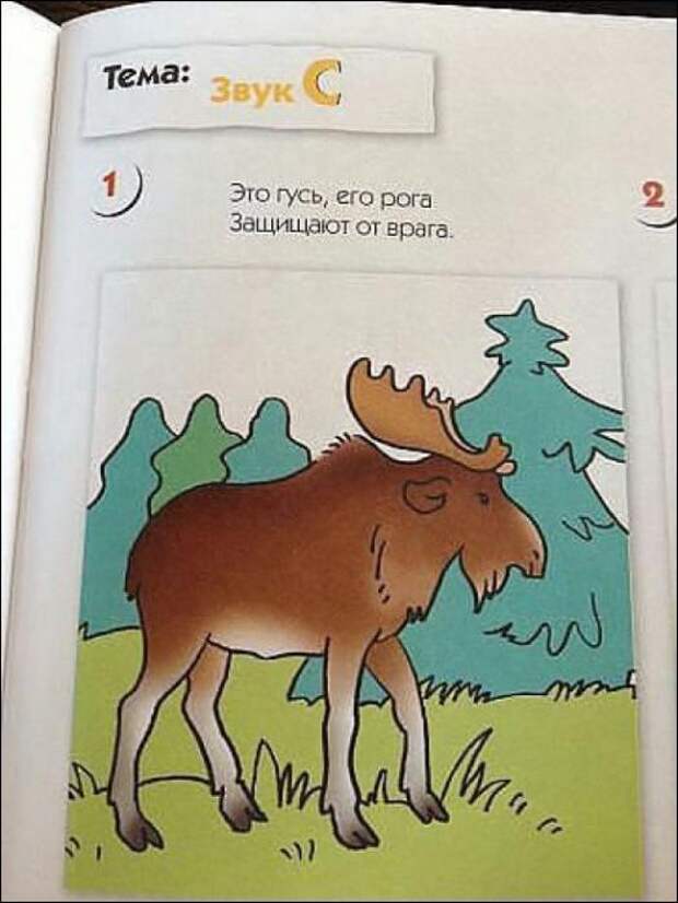 Картинки, юмор, приколы