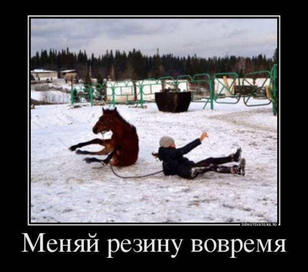 Новые демотиваторы для всех (17 шт)