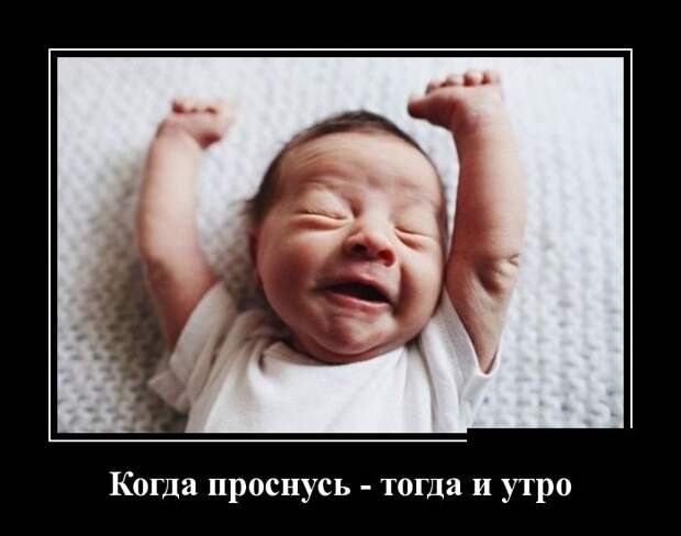 Демотиваторы (30 фото)