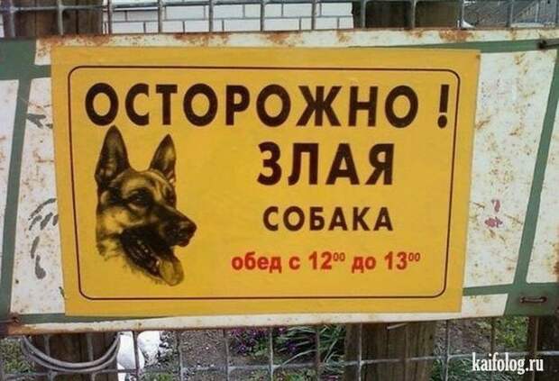 День охранника (45 фото)