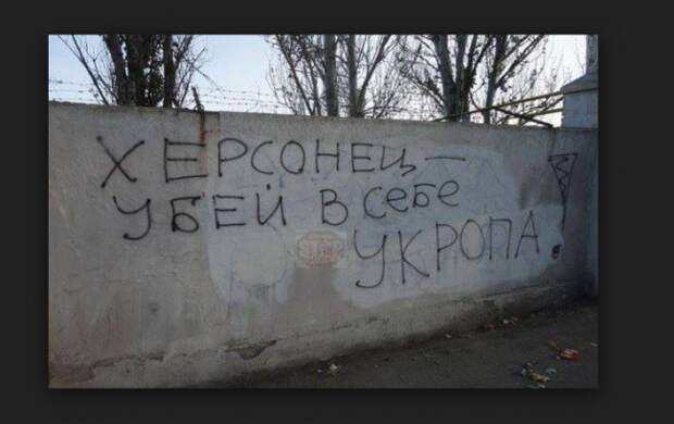 Херсон взывает о помощи: город сливают Турции Херсон взывает о помощи: город сливают Турции