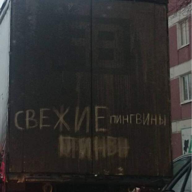 чего только не увидишь на русских дорогах