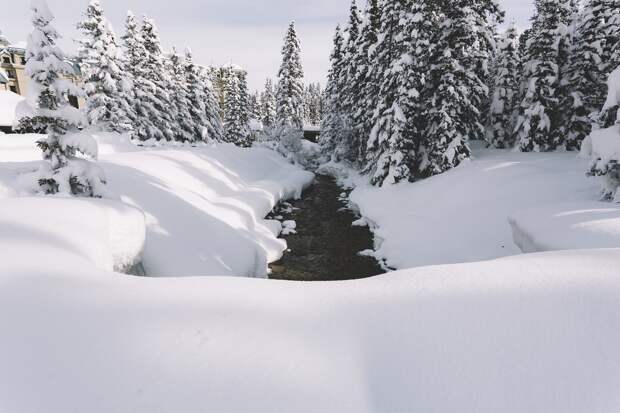 Сугробы в Рязанской области достигли 78 см
