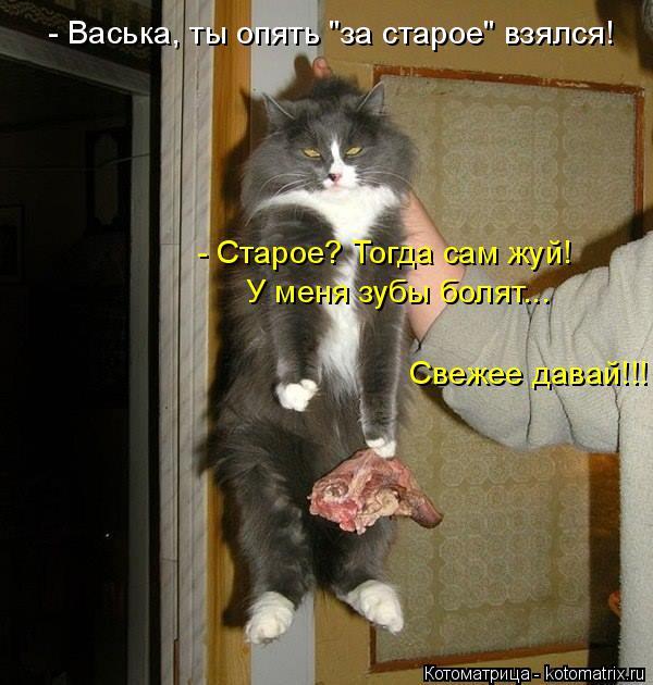 Котоматрица: - Васька, ты опять "за старое" взялся! - Старое? Тогда сам жуй! У меня зубы болят... Свежее давай!!!