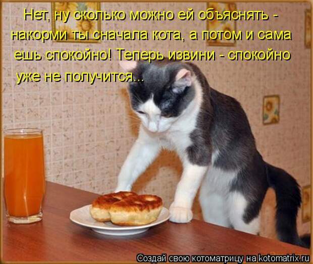 Котоматрица: Нет, ну сколько можно ей объяснять -  накорми ты сначала кота, а потом и сама  ешь спокойно! Теперь извини - спокойно уже не получится...