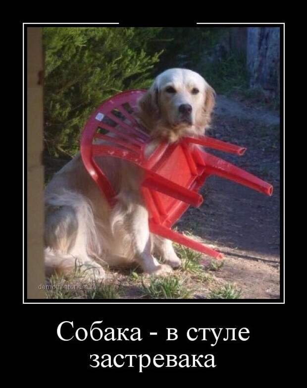 Демотиваторы (30 фото)
