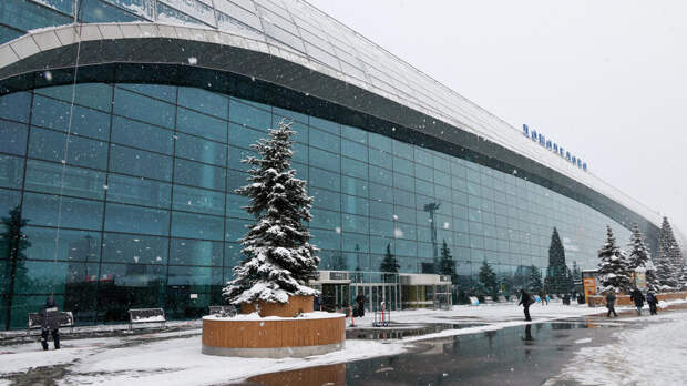 Экс-владелец "Домодедово" Каменщик попросил ВС пересмотреть решение по аэропорту