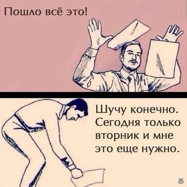 Безумные весёлости с людьми и животными 38