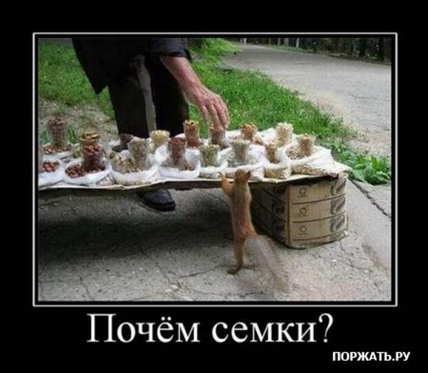 Демотивируемся только прикольными фото сюжетами и надписями.