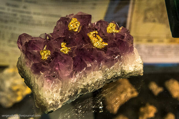 Солнечный Магадан