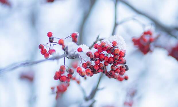 В Мезенском округе ударили тридцатиградусные морозы