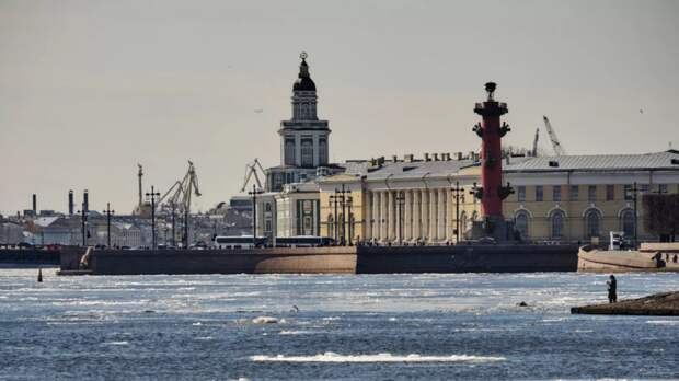 Петербург посетили 500 тысяч иностранных туристов в 2023 году