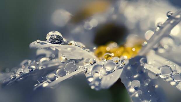 Gluk83 Best Mixed Wallpapers 4 :: NoNaMe