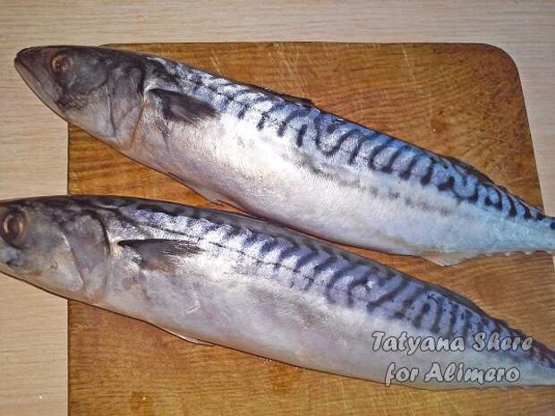 Скумбрия в духовке Скумбрия в духовке