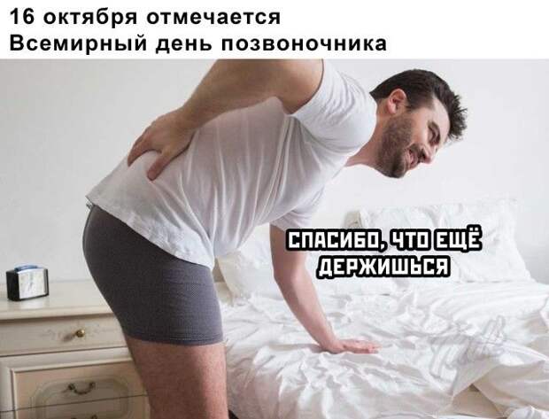 1602839587_podb_27.jpg