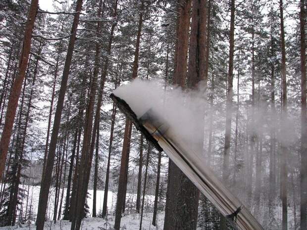 Отпуск в лесу