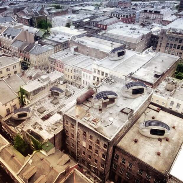 Экокапсулы, в которых можно жить круглый год (9 фото)