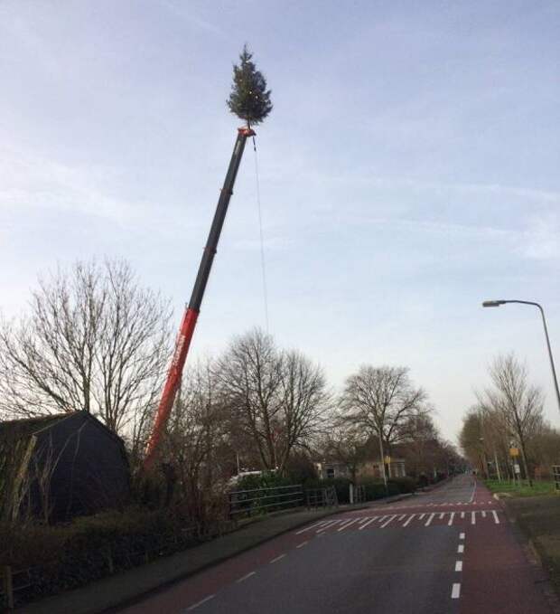 Прикольные картинки. Вечерний выпуск (54 фото)