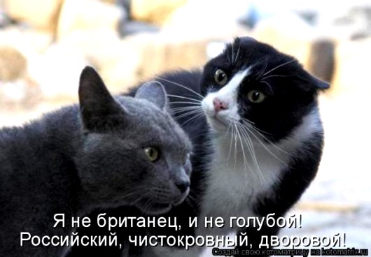 9b42b87a5f61265cf9c4e4e7c6c_prev