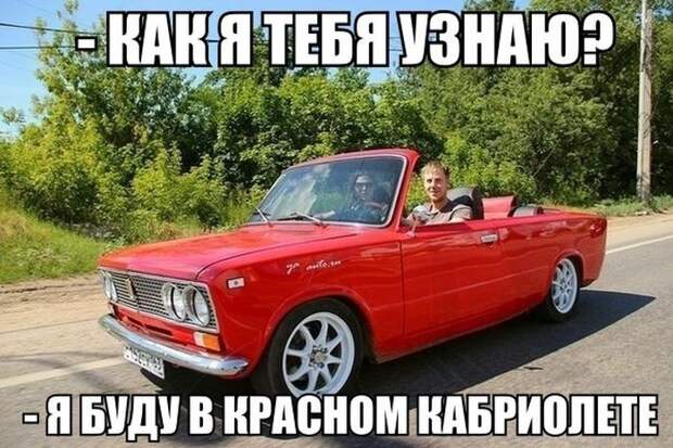 Смешные картинки с подписями  картинки, прикол, юмор