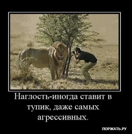 Демочки (30 фото)