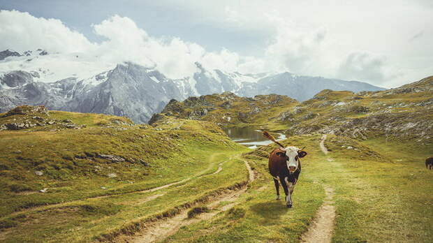 Французские Альпы в фотографиях Thomas Tourral