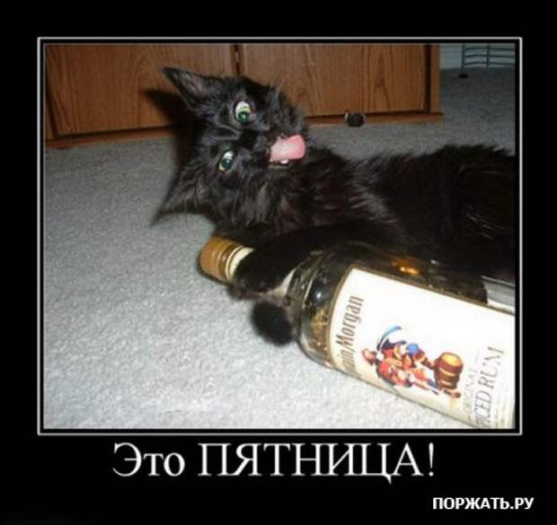Хотели демотиваторов? Это есть у нас!
