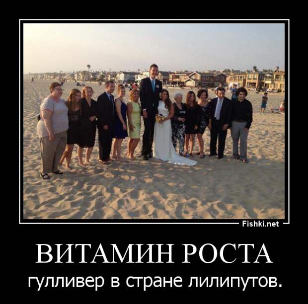 Демотиваторы демотиваторы